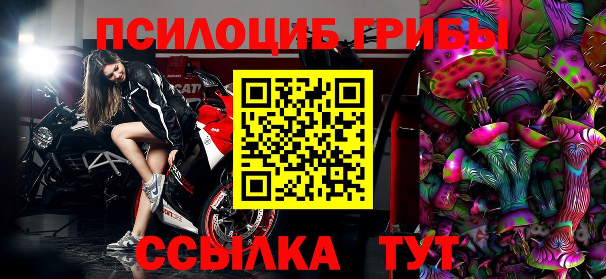 Долгопрудный  Псилоцибиновые грибы Magic Shrooms  Вход с VPN  Псилоцибиновые грибы Cubensis 
